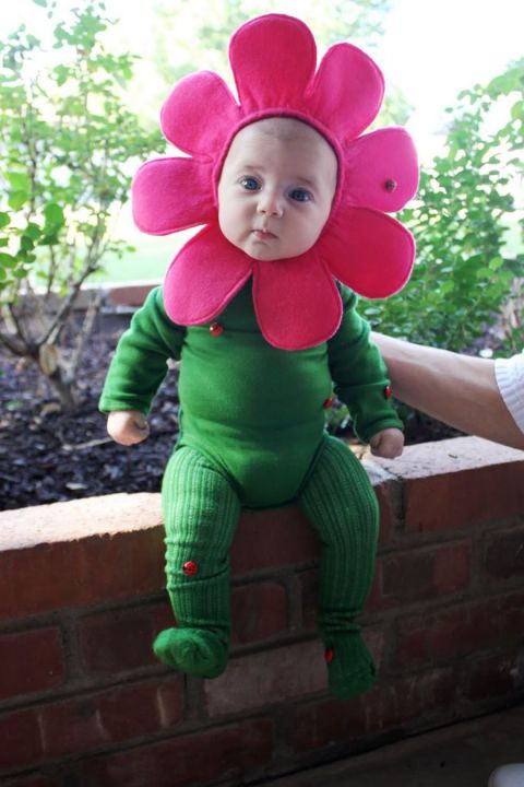 30 Best Baby Halloween Costumes For 2017 - Cutest Babies