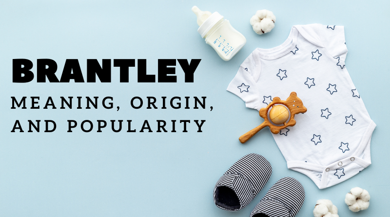 Brantley name meaning and origin